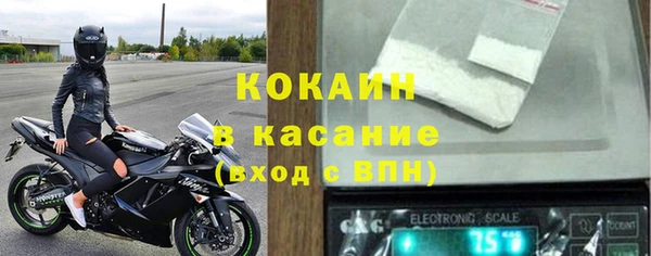 твердый Богородицк