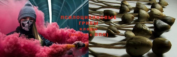 шишки Белокуриха
