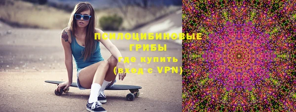 твердый Богородицк