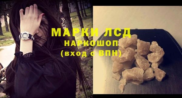 шишки Белокуриха