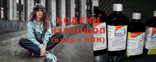 шишки Белокуриха
